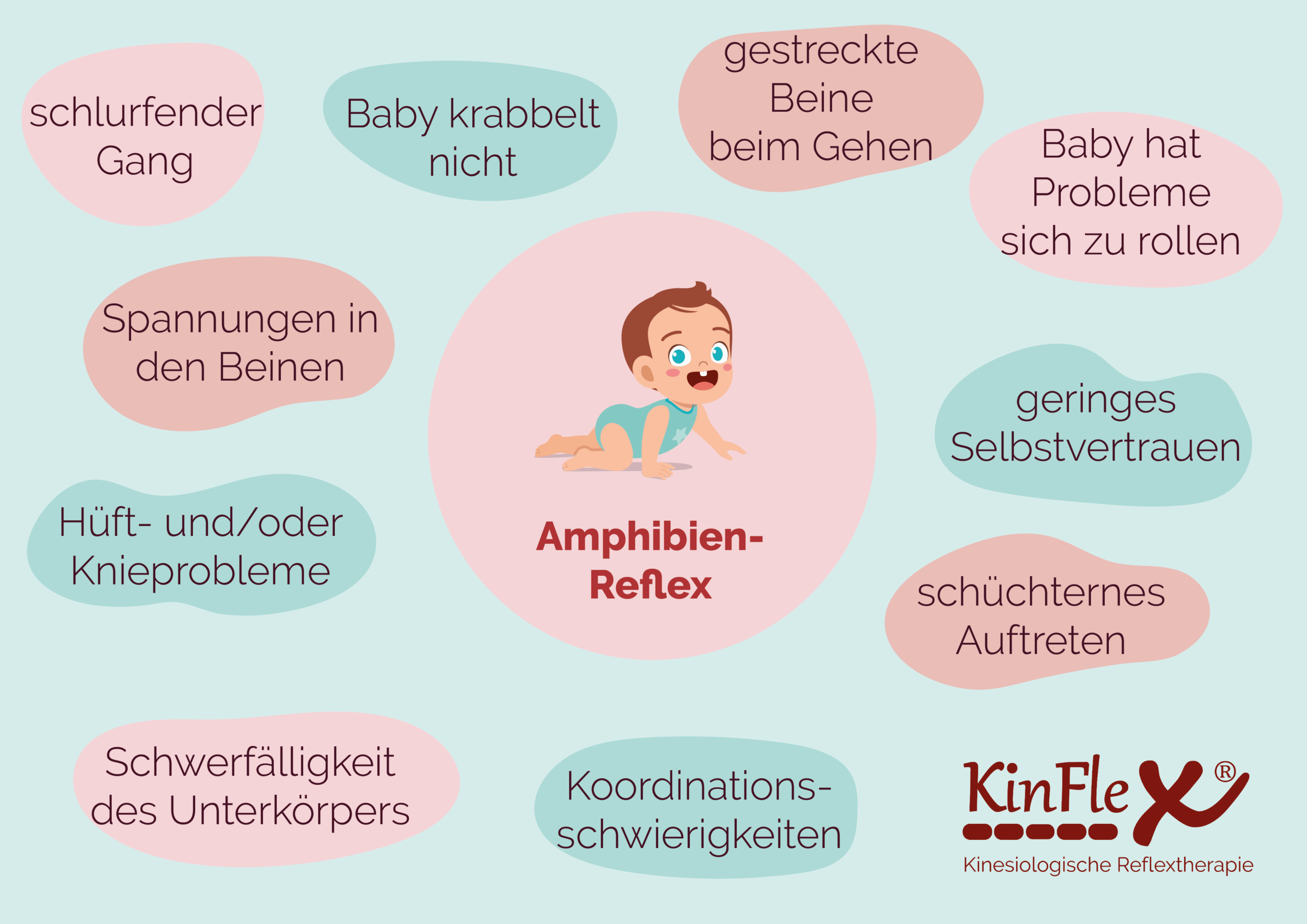 Amphibien Reflex