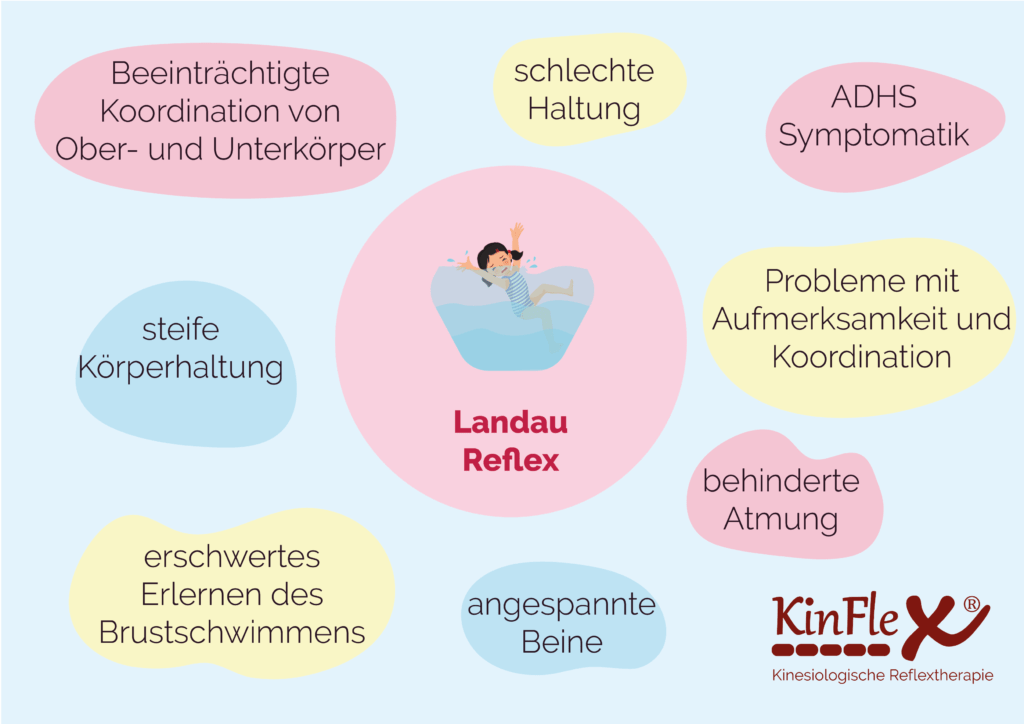 Landau Reflex