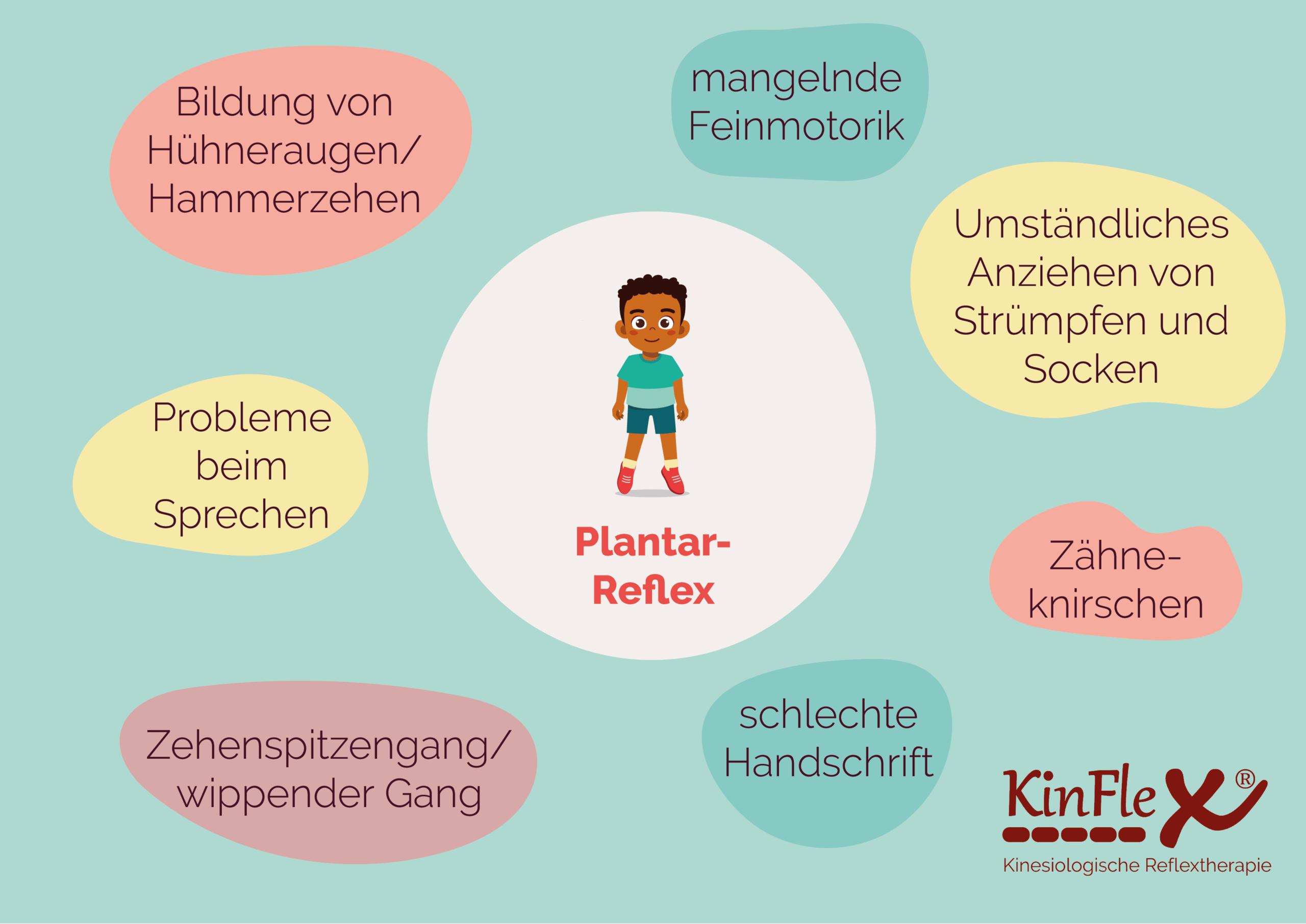 Plantar Reflex