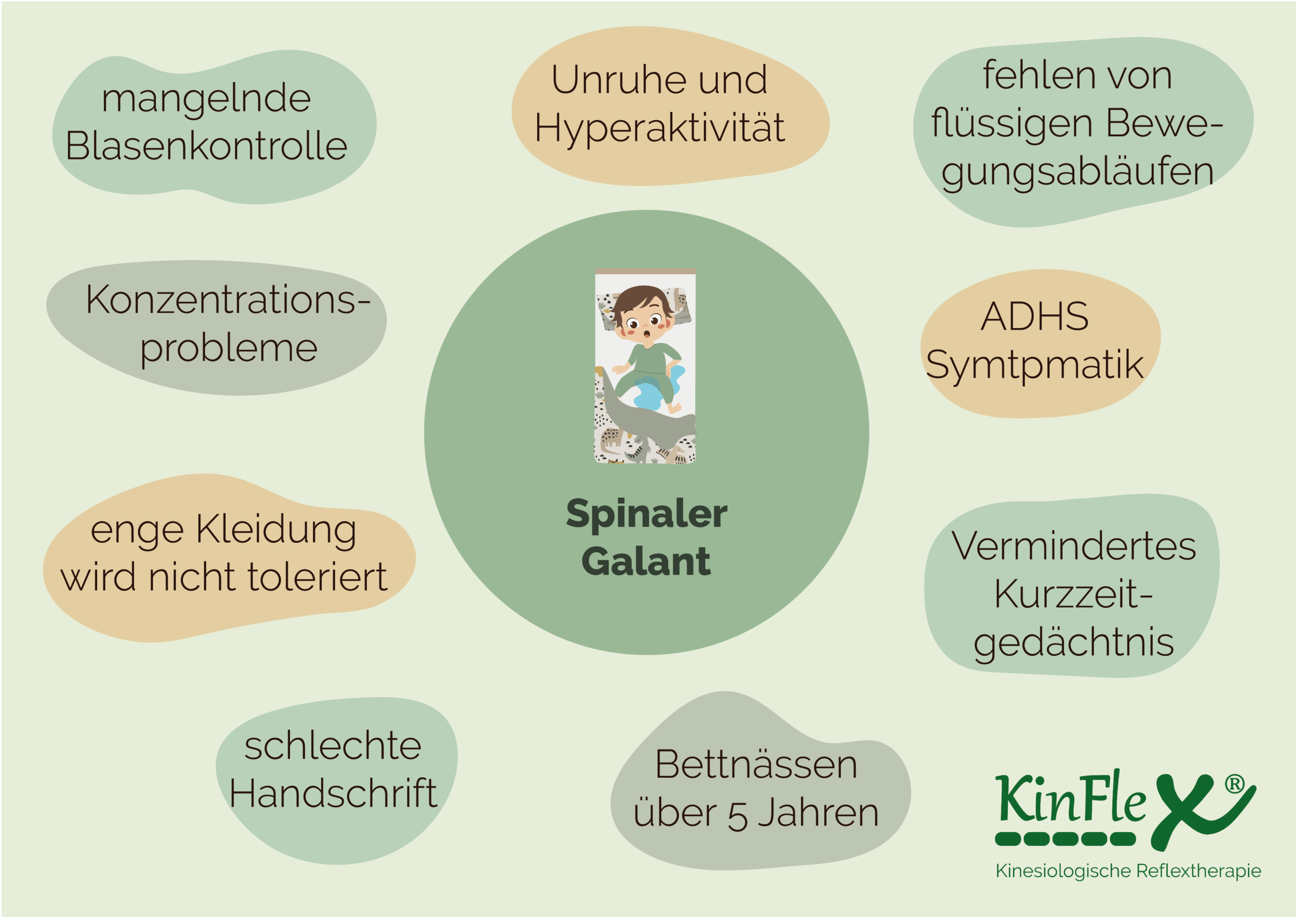 Spinaler Galant Reflex